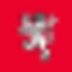Daily Record logo