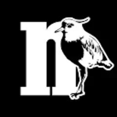 Diario Norte logo