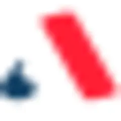 Analítica logo