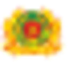 Công An Nhân Dân logo