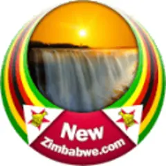 NewZimbabwe.com logo